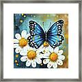 Blue Butterfly And Daises Framed Print