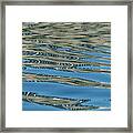 Blue Feathers Framed Print