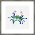 Blue, Green, Red Crab Framed Print
