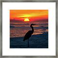 Blue Heron Beach Sunset Framed Print
