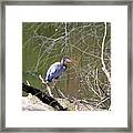 Blue Heron On Fallen Tree 3 Framed Print