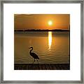Blue Heron On The Dock At Sunset Framed Print