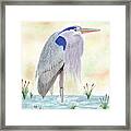 Blue Heron Standing Framed Print