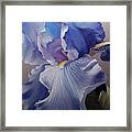 Blue Iris Framed Print