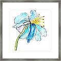 Blue Lily Framed Print