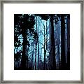 Blue Nature Forest Framed Print