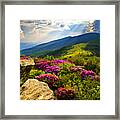 Blue Ridge Parkway Catawba Rhododendrons Framed Print