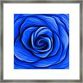 Blue Rose Framed Print