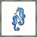 Blue Seahorses Framed Print