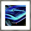 Blue Stingray Framed Print