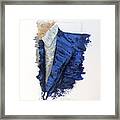 Blue Suit With Blue Tie Framed Print