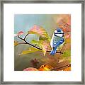 Blue Tit In The Fall Framed Print