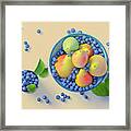 Blueberries And Pears Framed Print