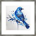 Bluebird Artwork Framed Print