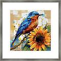 Bluebird Perched Upon The Sunflower Framed Print