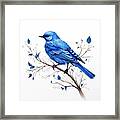 Bluebird Spring Framed Print