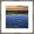 Bluebonnet Lake Vista Texas Sunset - Wildflowers Landscape Flowers Pond Framed Print