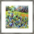 Bluebonnets And Cactus-pastel Colors Framed Print