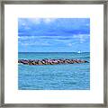 Boating On The Great Lakes  Erie Framed Print