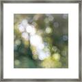 Bokeh Abstract Framed Print