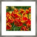 Bold Framed Print