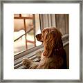 Boots At The Window Framed Print