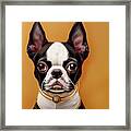 Boston Terrier Collection 1 Framed Print