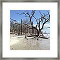 Botany Bay Beach Framed Print