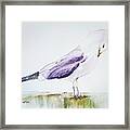Bowing Gull Framed Print