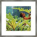 Boy In The Rhubarb Patch Framed Print