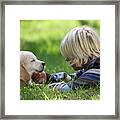 Boy Stroking Golden Retriever Puppy On Grass Framed Print