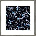Brain Cells Pattern Framed Print