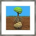 Brain Tree Roots And Tuber Framed Print