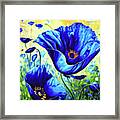 Breezy Blue Poppies Framed Print