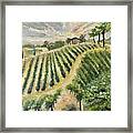 Brendas View At Lorenzi Estate Winery In Temecula Framed Print