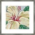 Bridal Hibiscus Framed Print