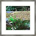 Bridge Framed Print