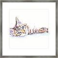 Bright Eyes - Tabby Kitten Framed Print