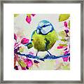 Bright Little Bird Framed Print