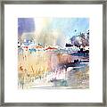 Bright Marsh Framed Print