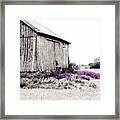 Brillion Barn With Flowers Framed Print