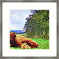 British Bison Watercolor Painting Framed Print