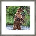 Brown Bear, Brown Bear, What Do You See? Framed Print