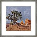 Bryce Canyon National Park - Nothing Can't Break Me Framed Print