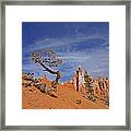 Bryce Canyon National Park - Shaped By The Wind Framed Print
