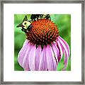 Bubble Bees Framed Print