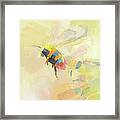 Bumble 2 Framed Print