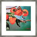Bumblebee Hummer And Persimmons Framed Print