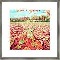 Buried In Autumn Blessings Framed Print