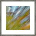 Burst Of Color In Red Canyon Framed Print